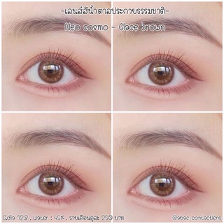 Neo cosmo สี Glace brown