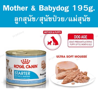 Royal Canin Starter Mother &amp; Babydog 195g. สำหรับสำหรับแม่สุนัขตั้งท้องและลูกสุนัข