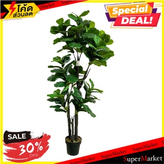 ต้นไทรใบสักประดิษฐ์ SPRING 160 ซม. ต้นไม้ประดิษฐ์ ARTIFICIAL FIDDLE-LEAF FIG SPRING 160CM อุปกรณ์ตกแต่งสวน