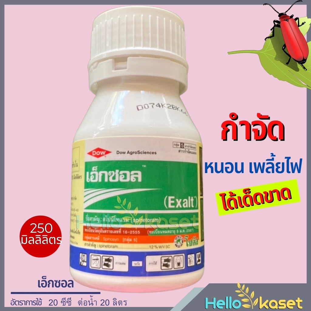 สารกำจัดหนอน เอ็กซอล สไปนีโทแรม จุดจบของหนอนร้าย ขนาด 250 ซีซี เพลี้ยไฟดื้อยา