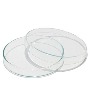 จานเพาะเชื้อแก้ว (เยอรมัน) Glass Petri Dish 15x100 mm.