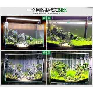 วัสดุปลูกไม้น้ำ ดินปลูกไม้น้ำ Crazy Stone Amazon Soil ขนาด 1-3 ลิตร