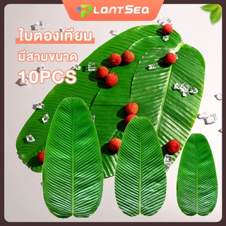 ใบตองเทียม ใบตองปลอม ใบตองเสมือนจริง Banana Leaf ใบตองปลอมขายส่ง 10 ใบ