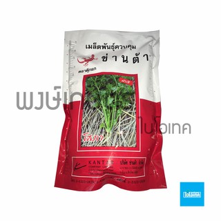 เมล็ดพันธุ์ผักชี โสภา ข่านต้า ตราตุ๊กแก 500กรัม เมล็ดพันธุ์ผัก เมล็ดพันธุ์พืช ผักสวนครัว พรรณไม้ พงษ์เกษตรอุตรดิตถ์