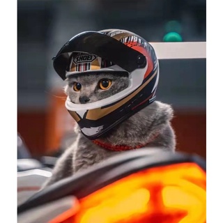 หมวกกันน็อคแมว หมา พันธุ์เล็ก หมวกเต็มใบ pet helmet for cat &amp; dog