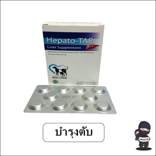 Hepato Tab วิตามินบำรุงตับสำหรับสุนัขและแมว