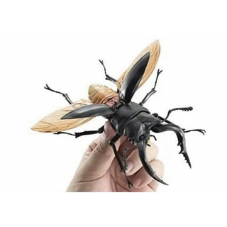 Kuwagata Stag Beetle Gashapon Collection Figure