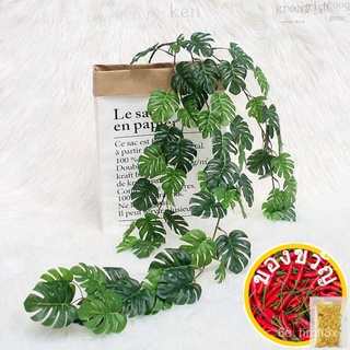 [KA Hues] Artificial Plants Fake Hanging Monstera Vine Leaf Faux Silk Garland Indoor Decor种子/上衣/男装/头饰/手链/园艺/通心菜/帽子/文胸/玫瑰