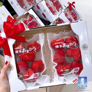 สตรอเบอรี่ญี่ปุ่น อะมาโอะ Strawberry AMAOU นำเข้าจาก JAPAN  博多あまおう 1 กล่อง (2 แพ็ค) +++ แถม FREE ถุงน้ําแข็งเก็บความเย็น