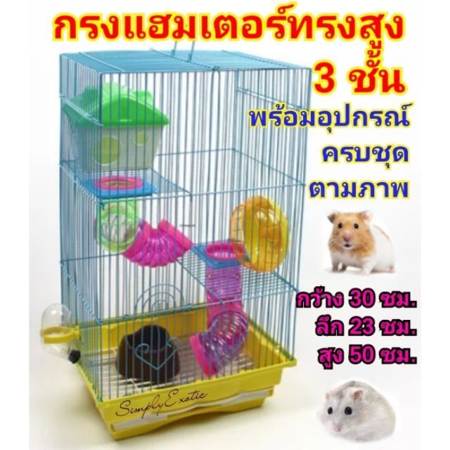 My Image 46
