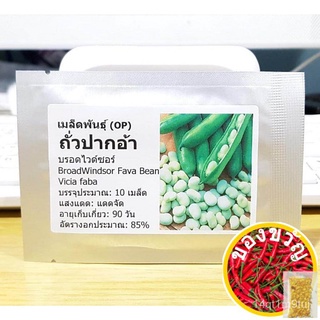 เมล็ดอวบอ้วน100%เมล็ดพันธุ์ ถั่วปากอ้า (Broad Windsor Fava Bean Seed) บรรจุ 10 เมล็ด คุณภาพดี ราคาถูก ของแท้ 100%เมล็ดพื