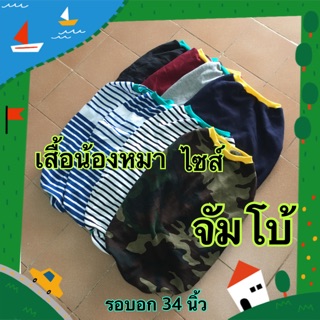 เสื้อหมาไซส์จัมโบ้ รอบอก 34 นิ้ว