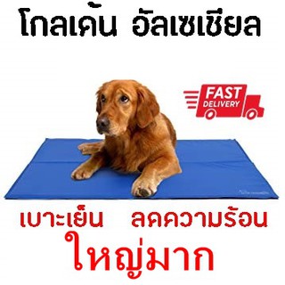 Pet cool mat ที่นอนเจลเย็นหมาที่นอนเจลเย็นสำหรับสุนัข size ใหญ่ XL93*78 CM  ใหญ่สุด