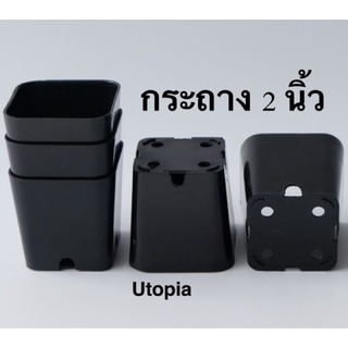 กระถาง 2 นิ้ว สีดำ - Utopia