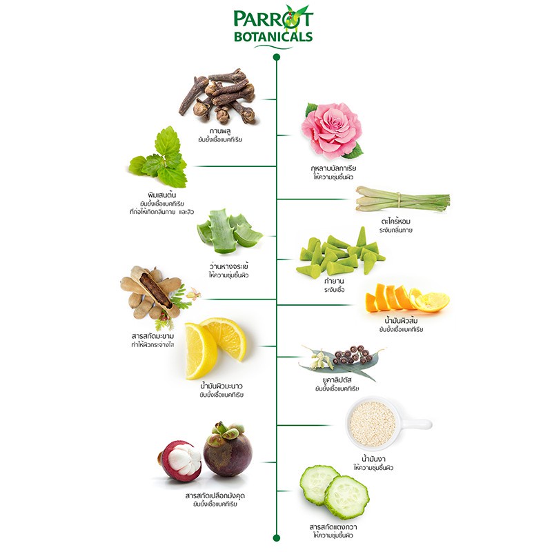 สบู่พฤกษานกแก้ว ลีลาวดี 105ก. สีม่วง แพ็ก 4 ก้อน Parrot Botanicals Bar 105G. P.4 Purple สบู่ก้อน Bar soap [เลือกจำนวน] - รูปที่ 5