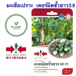 เมล็ดมะเขือเปราะ เคอร์มิตขั้วยาว 59 F1 ศรแดง ซองแข็ง 150 เมล็ด ผักสวนครัว