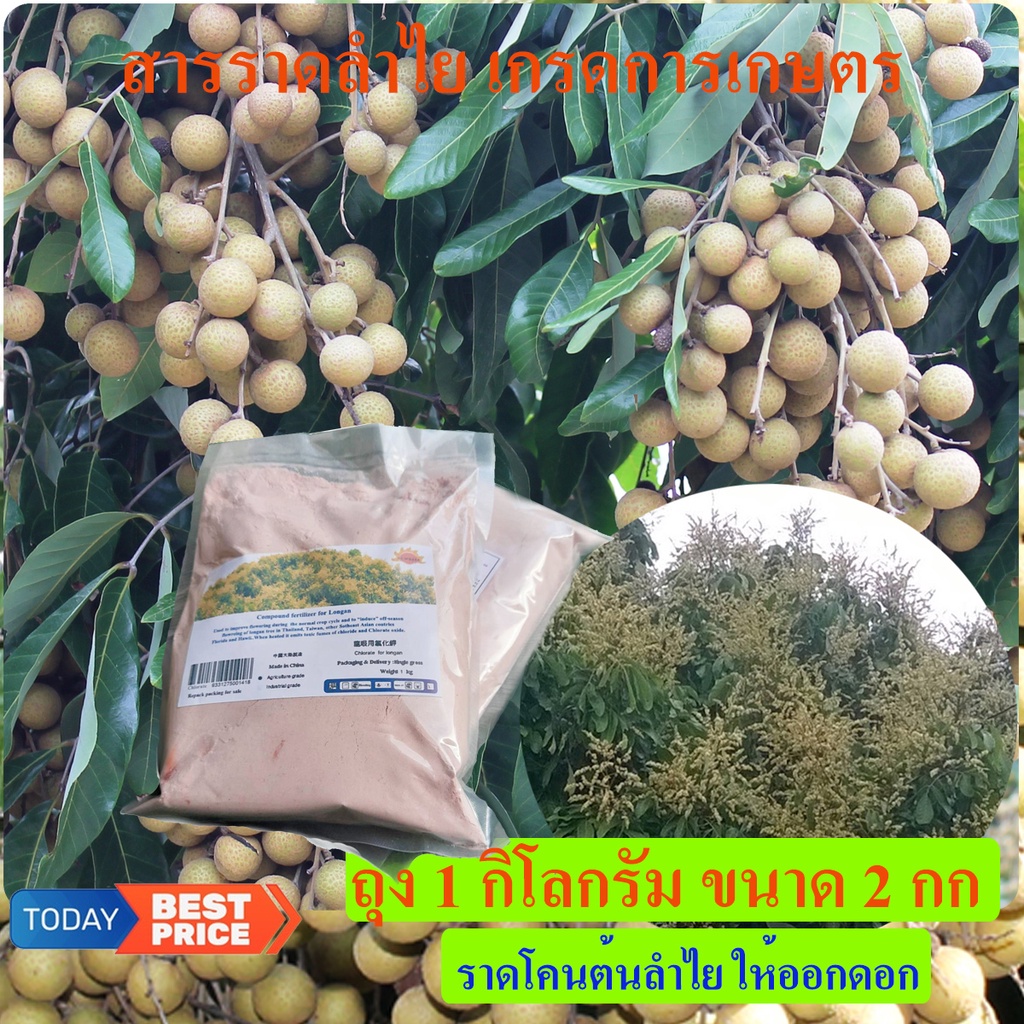 สารราดลำไย "สารเร่งดอกลำไย" ใช้ราดเร่งดอกลำไยในฤดูและนอกฤดู ( ขายเช็ท 2 กิโลกรัม)