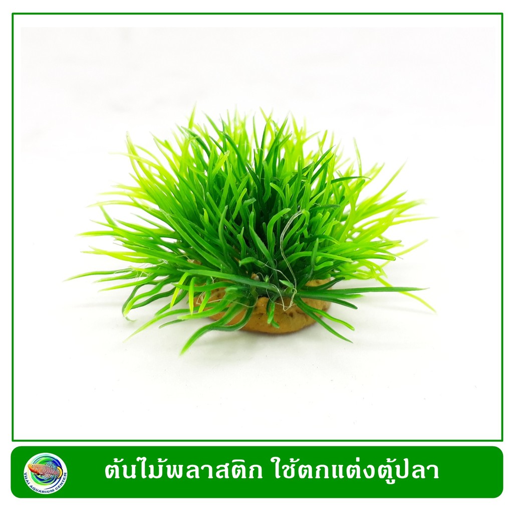 T024 กอหญ้าพลาสติก ตกแต่งตู้ปลา ขนาด 4 ซม. (10 ชิ้น/แพ็ค) Plastic Grass Green Leaf Colour size 4 cm.
