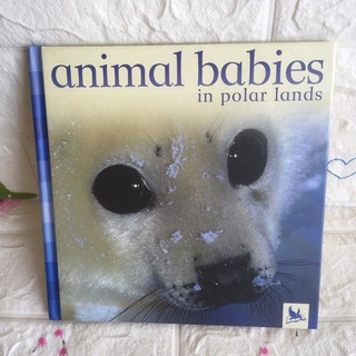 animal babies in polar lands ปกแข็งมือสอง -cb3