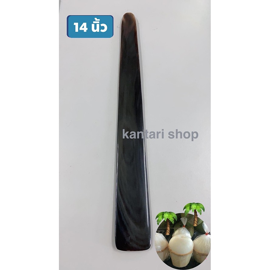 มีดเขาควาย มีดคว้านมะพร้าวอ่อน ทำจากเขาควาย 100 % ยาว 14