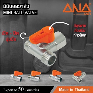 ANA มินิบอลวาล์วทองเหลือง 3 ทาง (ผมผ) 1/2" รุ่น MV113MFM