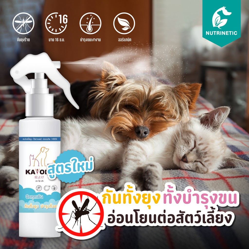 Kayoke Plus สเปรย์กันยุงนานสูตรเพิ่มบำรุงขน สารสกัดธรรมชาติ อ่อนโยนไม่ระคายเคืองผิวและดวงตา นาน16ชม.
