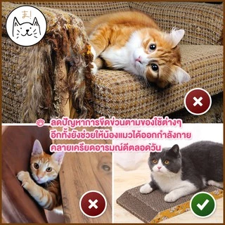 KUMA ま ที่ลับเล็บแมว โซฟาลับเล็บแมว ที่ฝนเล็บแมว ของเล่นแมว แถมฟรี! แคทนิปกัญชาแมวในเซท แผ่นฝนเล็บแมว แผ่นลับเล็บแมว
