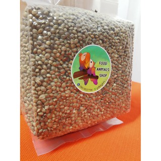 อาหารนกแก้ว ฮวยมั๊ว อาหารว่างนก เมล็ดฮวยมั้ว Hemp Seed เมล็ดพืช โปรตีนสูง ไขมันสูง # โปรพิเศษ # ขนาด 500g.-1kg #