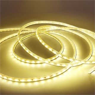 ไฟเส้น LED Strip  DC220V ไฟสายยางท่อแบน 5050 8mm 50M 100M ไฟปีใหม่ ไฟประดับตกแต่ง ไฟเส้นไฟเส้น แถมฟรีปลั๊กหัวจ่าย