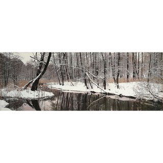 โปสเตอร์ รูปถ่าย วิว ธรรมชาติ ป่าสน Winter Forest Landscapes Nature POSTER 13”x39” Inch Beautiful Earth Sun Spring V1