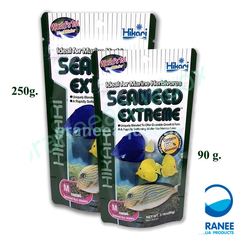 Hikari Marine Seaweed Extreme (M) 90g. - 250g. อาหารปลาทะเล