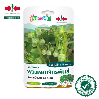 ศรแดง เมล็ดพันธุ์ มะเขือเปราะพวงหยกจักรพันธ์ จันกะผัก (East West Seed) เมล็ดพันธุ์ผัก เมล็ดพันธุ์ ผักสวนครัว ตราศรแดง