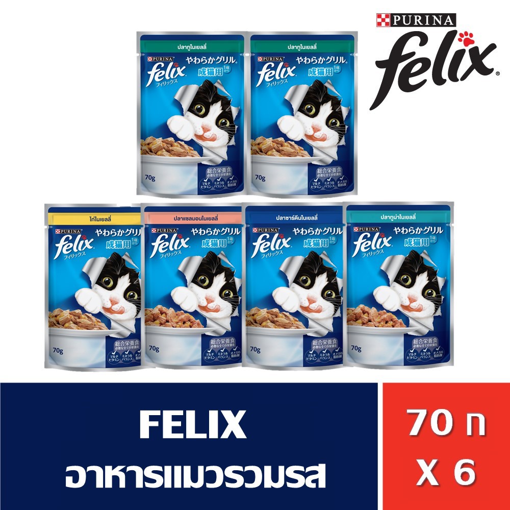 FELIX ADULT With Mackerel in jelly เฟลิกซ์ อาหารแมวโตรวมรส 70 กรัม (6 ถุง)NestleTH