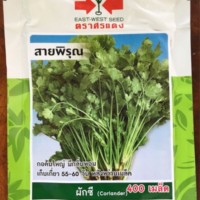ศรแดง ผักชี สายพิรุณ ( 400 เมล็ด) โปรโมชั่น