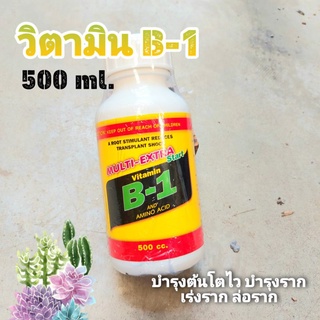 B1 กลาง // B-1 วิตามิน B1 วิตามินB1 บีวัน บำรุงราก เร่งราก 500cc บำรุง แคคตัส กระบองเพชร