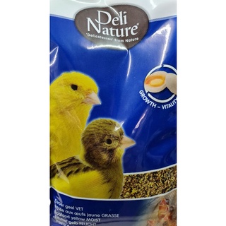 Delinature egg food yellow MOIST​