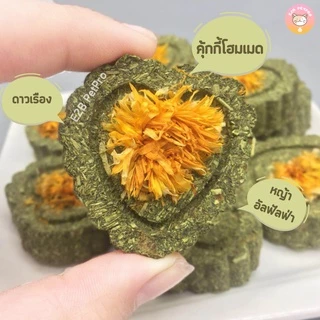ของเล่นกระต่าย ของเล่นแฮมสเตอร์ แครอทขัดฟัน ไม้ลับฟันจากธรรมชาติ สะอาด ปลอดภัย แทะสนุกทั้งวัน B031