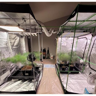 ถูกที่สุด! เต้นท์ปลูกต้นไม้ GROW TENT ปลูกพืชในร่ม เต้นท์ปลูกสมุนไพร INDOOR *420*