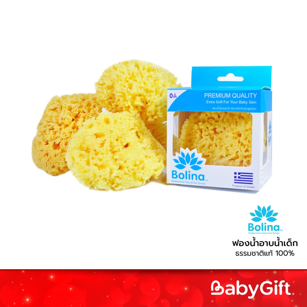 Bolina ฟองน้ำอาบน้ำเด็ก ธรรมชาติแท้ 100% ใช้ได้ตั้งแต่แรกเกิด