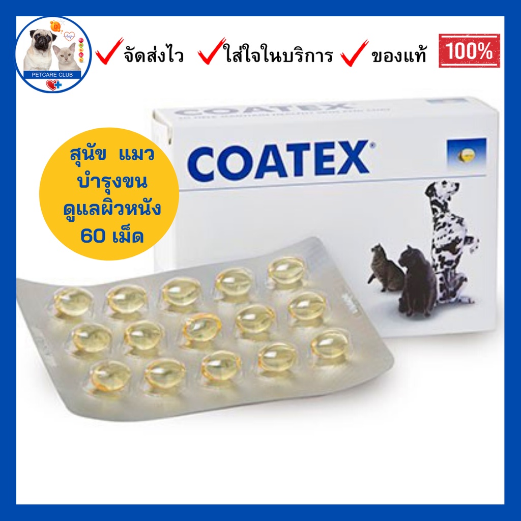 Coatex​ for​ Hair and Skin Care for Dogs and Cats in Capsules (ดูแลขนและผิวหนัง สำหรับแมวและสุนัข กล่องละ 60 เม็ด)