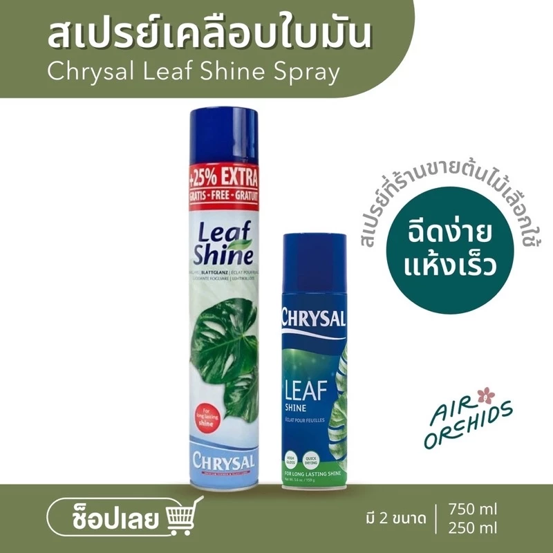 สเปรย์เคลือบใบมัน คริสซอล (Chrysal Leaf Shine) สเปรย์ที่ร้านขายต้นไม้เลือกใช้ ของแท้100%