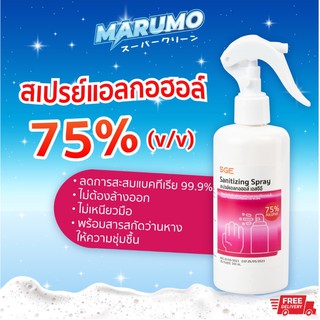 สเปรย์แอลกอฮอล์ 75% 300 ml. ตรา เอสจีอีซี SGE Sanitizing Spray