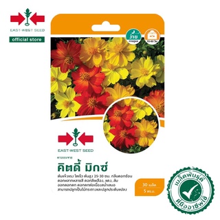 ศรแดง เมล็ดพันธุ์ดาวกระจาย คิตดี้ มิกซ์ ต้นเตี้ย (East-West …