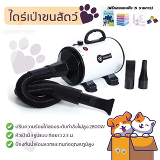 ประกัน 1ปี ซื้อ1แถม5 ไดร์เป่าขนสุนัขและแมว 2800w เครื่องเป่าขน ไดร์เป่าขนสุนัข ไดร์เป่าขนหมา ไดร์เป่าขนแมว ส่งฟ