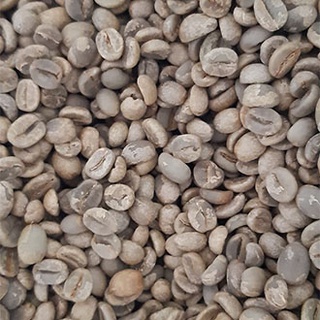 กาแฟสารพม่า ฮั่นนี่โปรเซส รัฐฉาน ไซด์ 17/18 ARABICA COFFEE BEANS FROM SHAN STATE MYANMAR Size 17/18(1,000 กรัม)