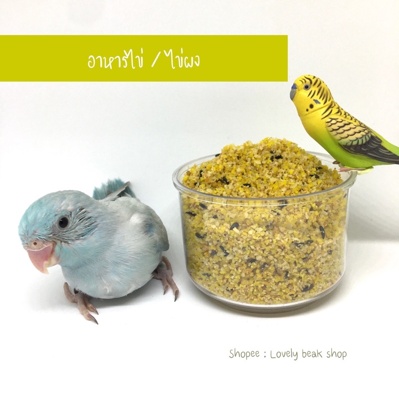 อาหารไข่ ผงไข่ สำหรับนกแก้ว แฮมสเตอร์ ชูก้า อาหารเสริมโปรตีนสำหรับนก อาหารนก