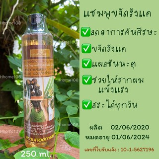 ยาสระผม แชมพูขจัดรังแค ประคำดีควาย ผสมน้ำมันตะไคร้หอม 250 ml. แหลมทองการแพทย์