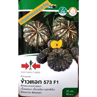 เมล็ดพันธุ์ ฟักทอง 💥ข้าวตอก 573💥หมดอายุ 05/09/2567📌ฟักทองลายข้าวตอก เนื้อผลหนา เนื้อเหนียว รสชาติมัน บรรจุ 25เมล็ด