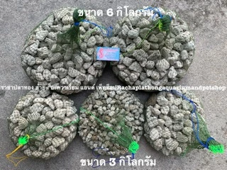 หินภูเขาไฟ หินกรอง ขนาด 3 กิโลกรัม