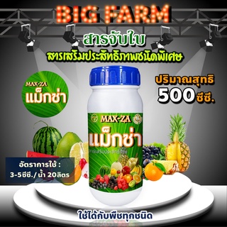 แม็กซ่า Maxza สารจับใบ สารเร่งดูดซึม สารเสริมประสิทธิภาพชนิดพิเศษ ขนาด 500 ซี.ซี.